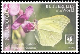Stamp, Common Brimstone (Gonepteryx rhamni), Niuafo'ou,  , Butterflies