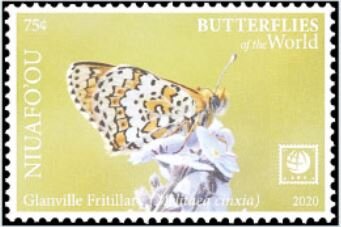 Glanville Fritillary (Melitaea cinxia)