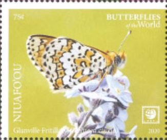 Glanville Fritillary (Melitaea cinxia)