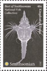 National Fish Collection
