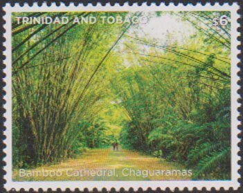 Bamboo Cathedral, Chaguaramas
