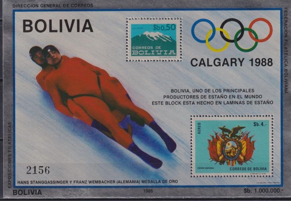Luge duo