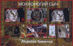 Mini Sheet, Aegolius funereus, Cinderellas,  , Animals (Fauna), Birds, Birds of Prey, Owls