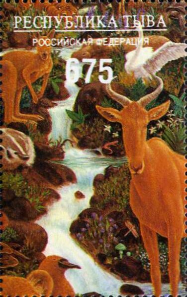 Animals