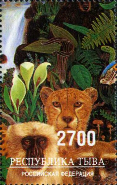 Animals