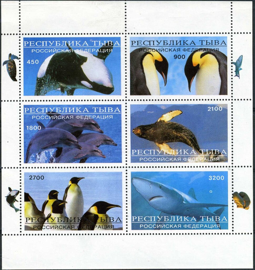 Animals Polar