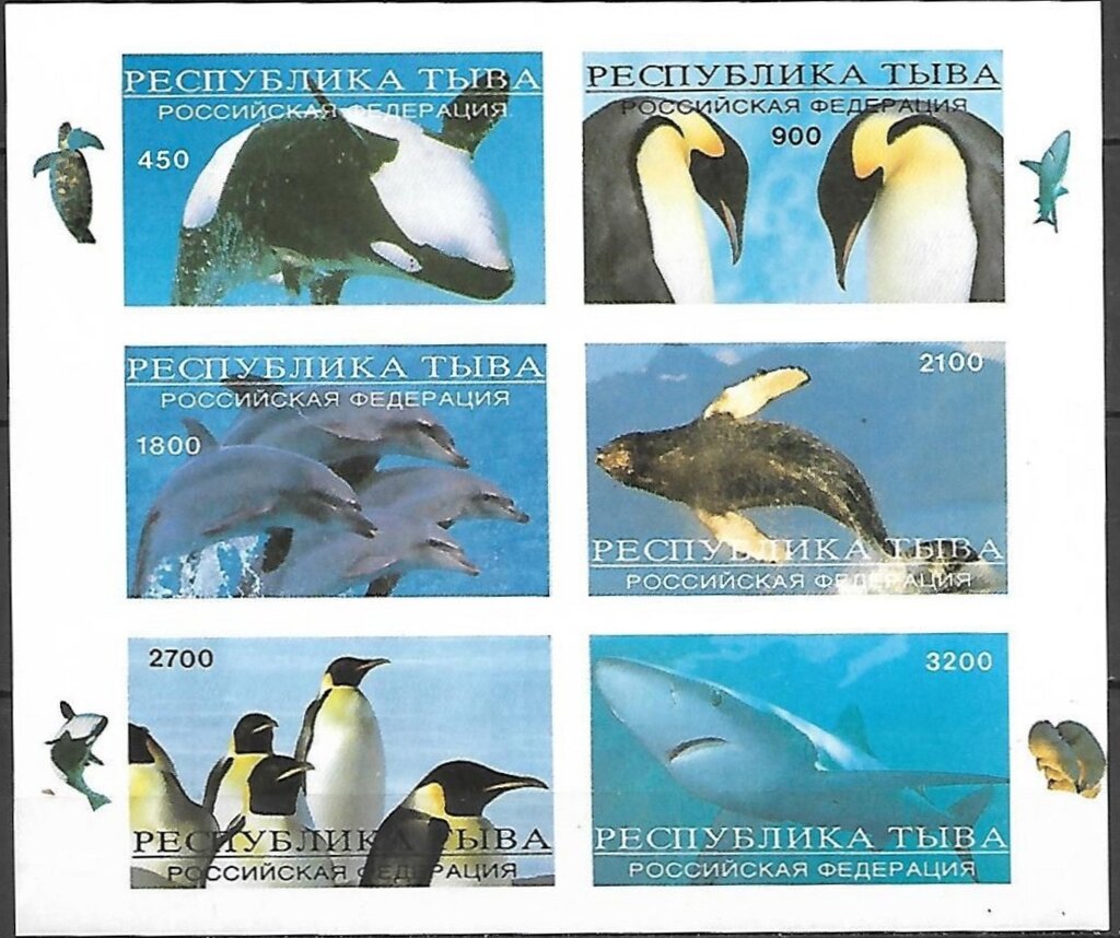 Animals Polar