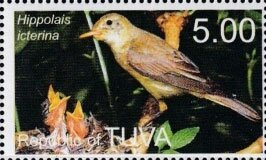 Bird