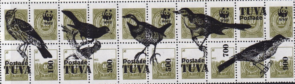 Birds WWF