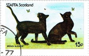 Stamp, Brown Burmese, Cinderellas,  , Cats