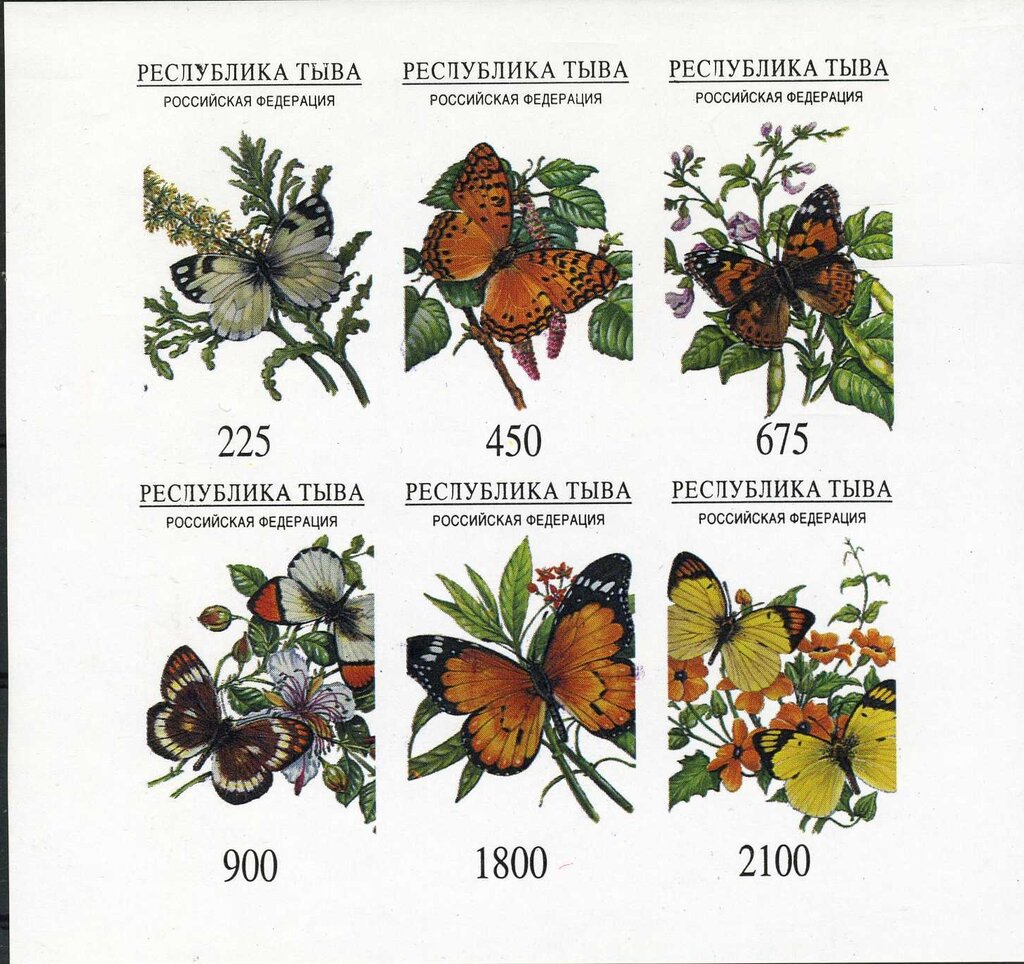 Butterflies