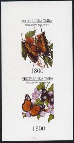 Butterflies