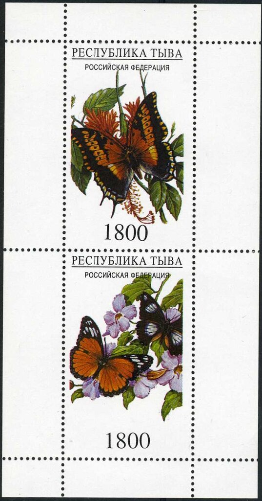 Butterflies