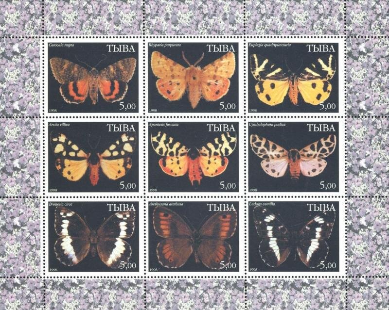 Butterflies