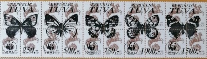 Butterflies WWF