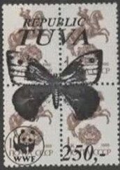 Butterflies WWF