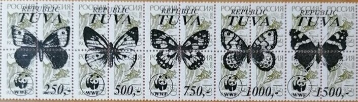 Butterflies WWF