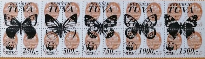 Butterflies WWF