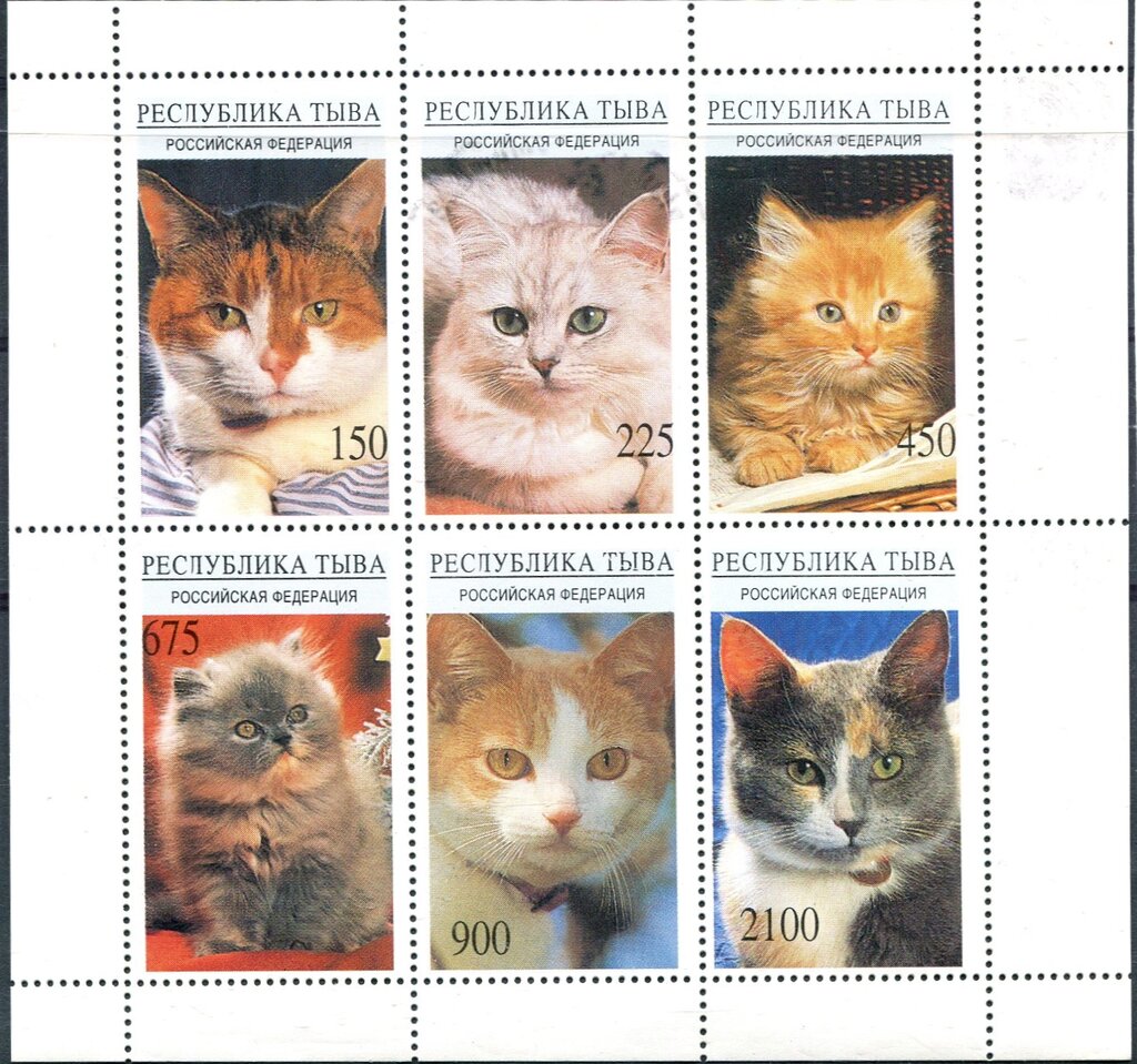 Cats