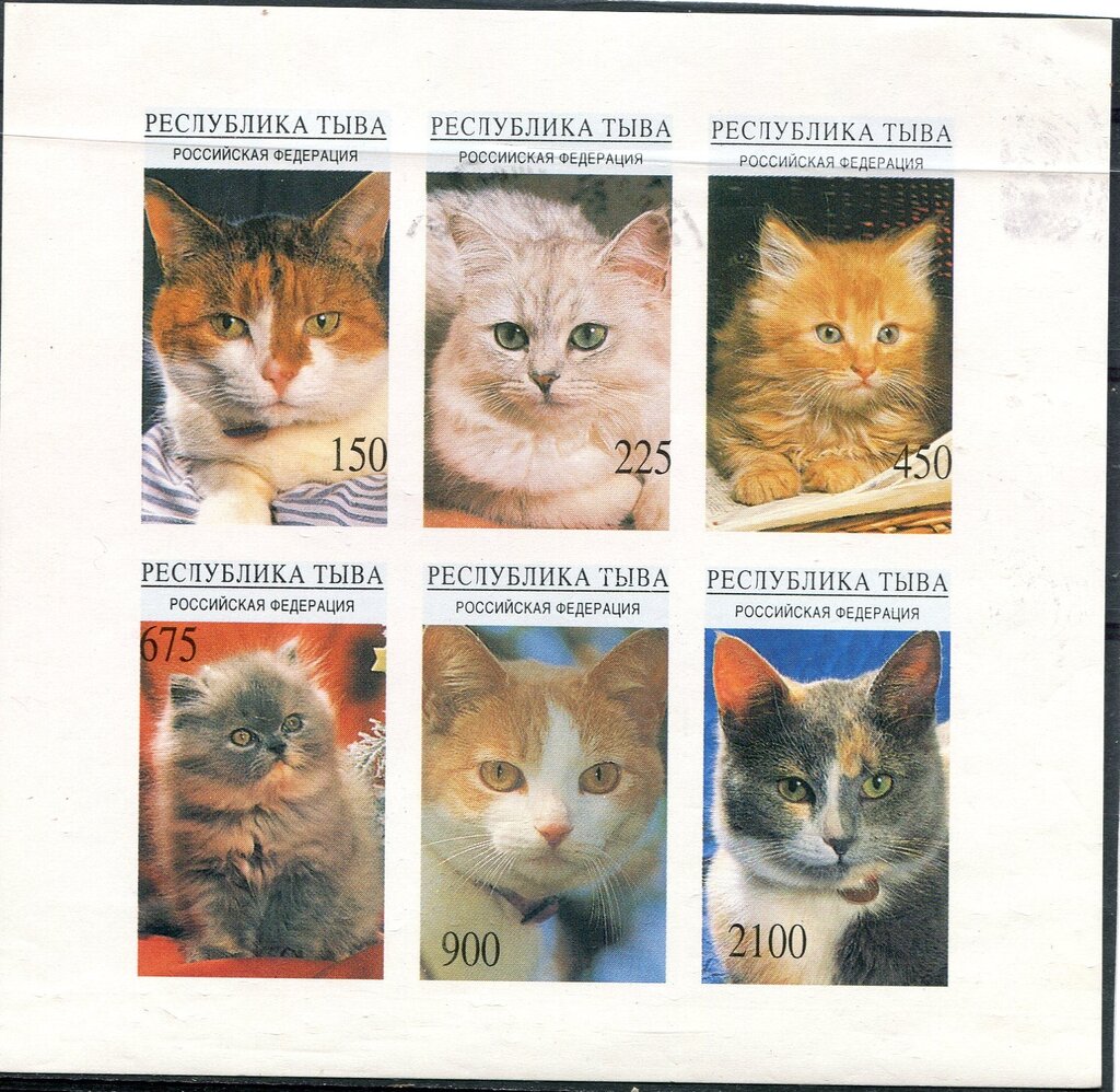 Cats