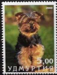 Stamp, Dog, Cinderellas,  , Animals (Fauna), Dogs, Mammals