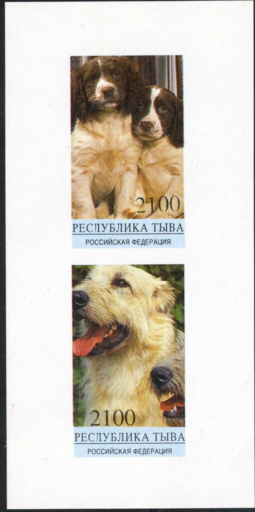 Dogs