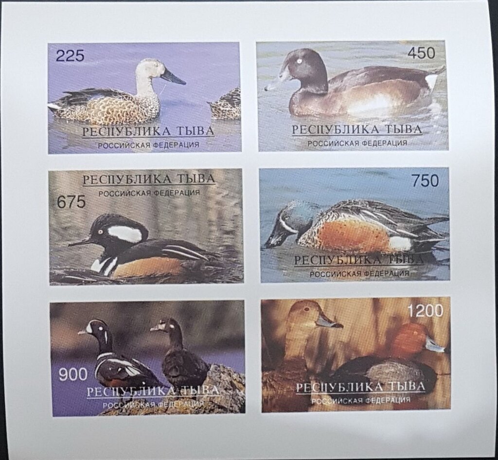Ducks