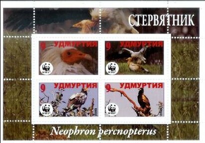 Eagles WWF