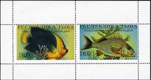 Mini Sheet, Fishes, Cinderellas,  , Animals (Fauna), Fishes
