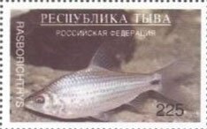 Fishes