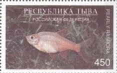 Fishes