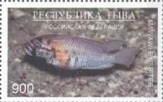 Fishes