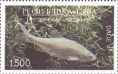 Fishes
