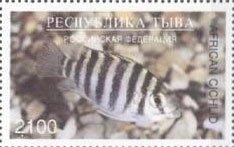 Fishes