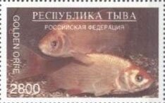 Fishes