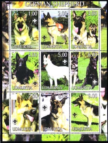 German Shepherd