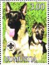 German Shepherd