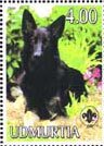 German Shepherd