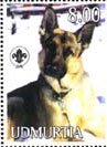 German Shepherd