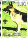 German Shepherd