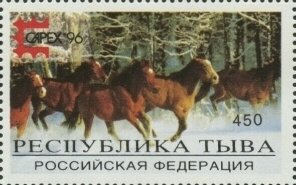 Horses - CAPEX 96