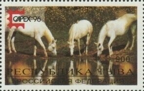 Horses - CAPEX 96