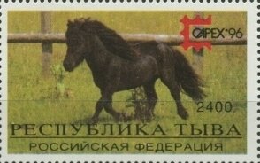 Horses - CAPEX 96