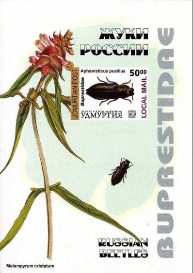Insects