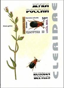 Souvenir Sheet, Insects, Cinderellas,  , Animals (Fauna), Insects