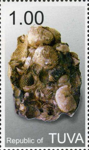 Minerals