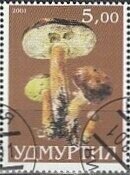 Mushroom