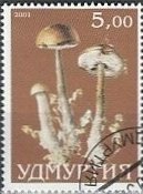 Mushroom