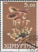 Mushroom
