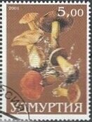 Stamp, Mushroom, Cinderellas,  , Mushrooms